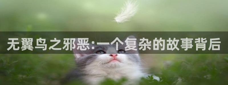 51漫画新入口免费漫画入口：无翼鸟之邪恶:一个复杂的故事背后