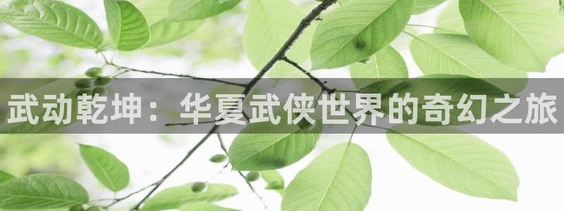 51漫画无删减：武动乾坤：华夏武侠世界的奇幻之旅
