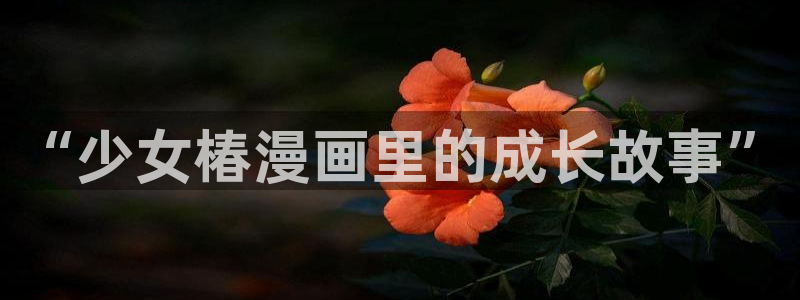 51漫画z：“少女椿漫画里的成长故事”